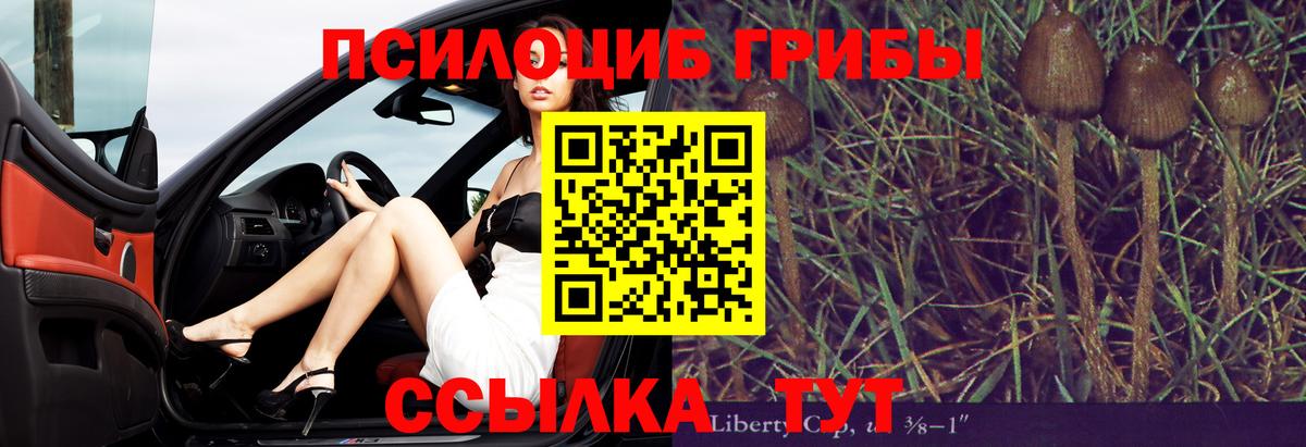 Долгопрудный  Галлюциногенные грибы мицелий  Вход с VPN 